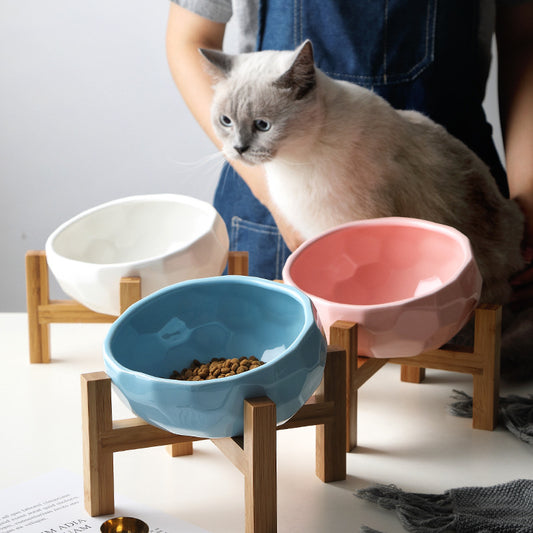 Luxury Tilted Pet Feeding Bowl – Comfortable Dining for Cats and Dogs