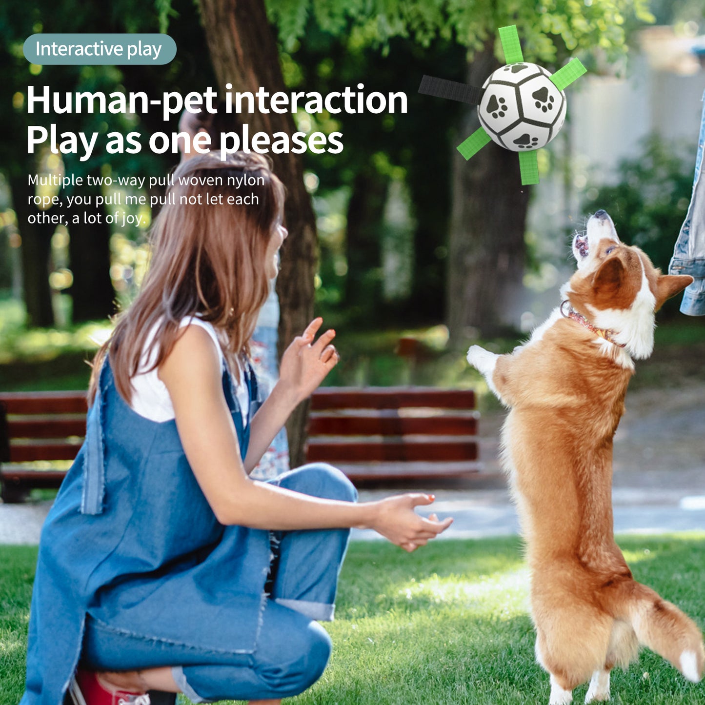 Interactive Dog Football Ball – Durable Outdoor Toy for Dogs