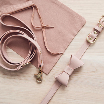 Pet Cute Bow Collar Leash Set