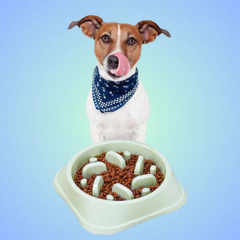 Pet Slow Feeder Bowl