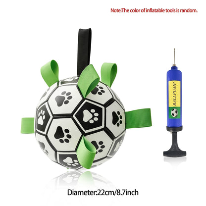 Dog Soccer Ball