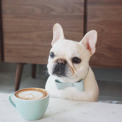 Pet Cute Bow Collar Leash Set