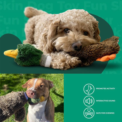 🐶 Best Pet Supplies 2-in-1 Stuffless Squeaky Dog Toy – Wild Duck