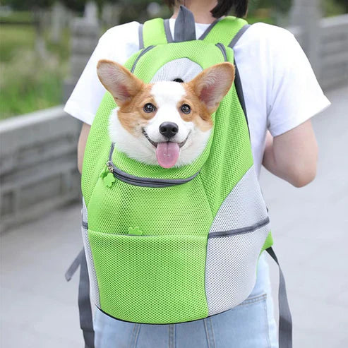 Pet Carrier Bag